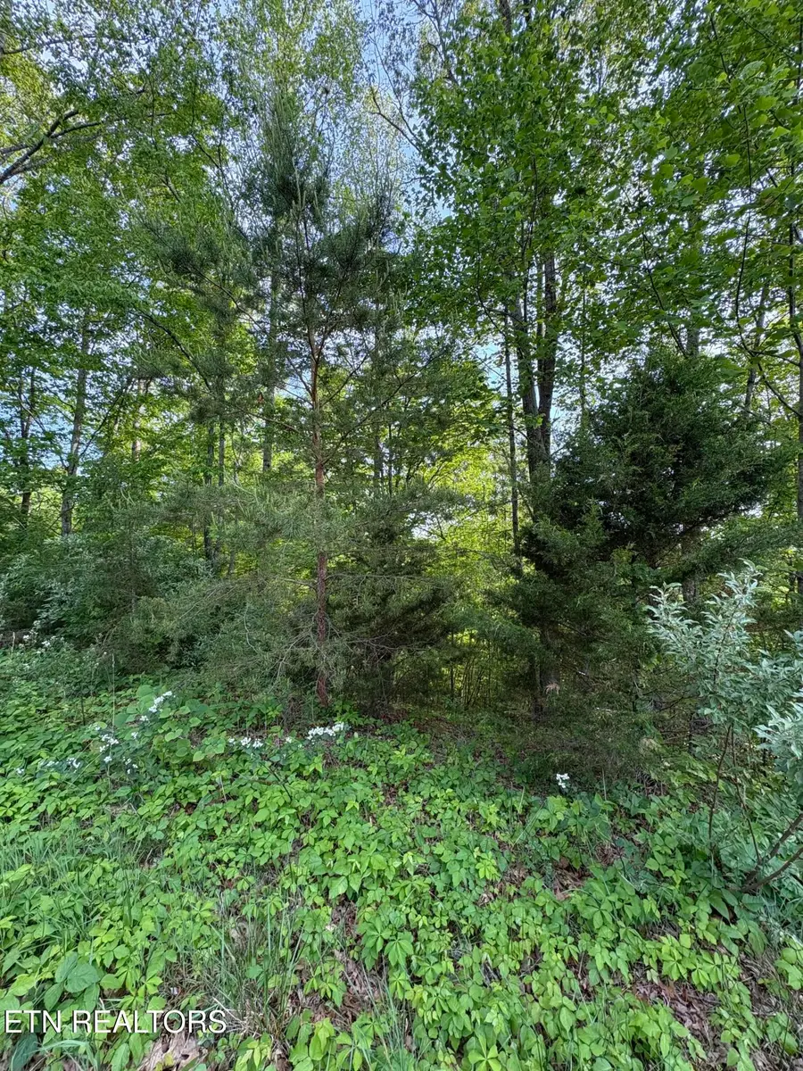 lot 169 Saddleridge Drive, Speedwell, TN 37870 - #3