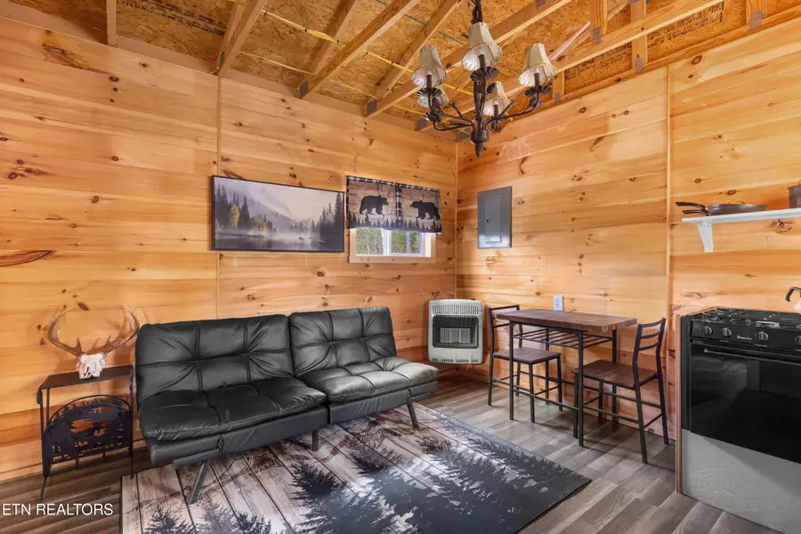 Douglas Drive, Sneedville, TN 37869 - #2