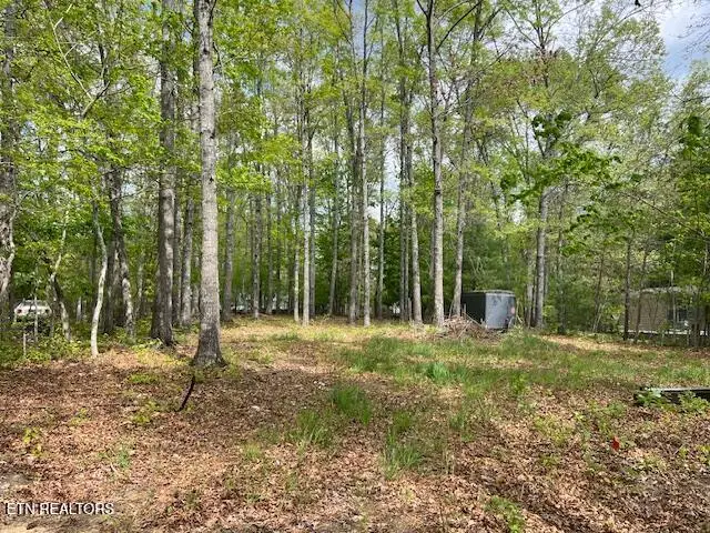 3241 Oswego Rd, Crossville, TN 38572 - #1