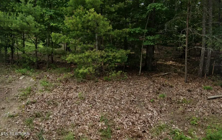 36 Markham Terrace, Fairfield Glade, TN 38558 - #3
