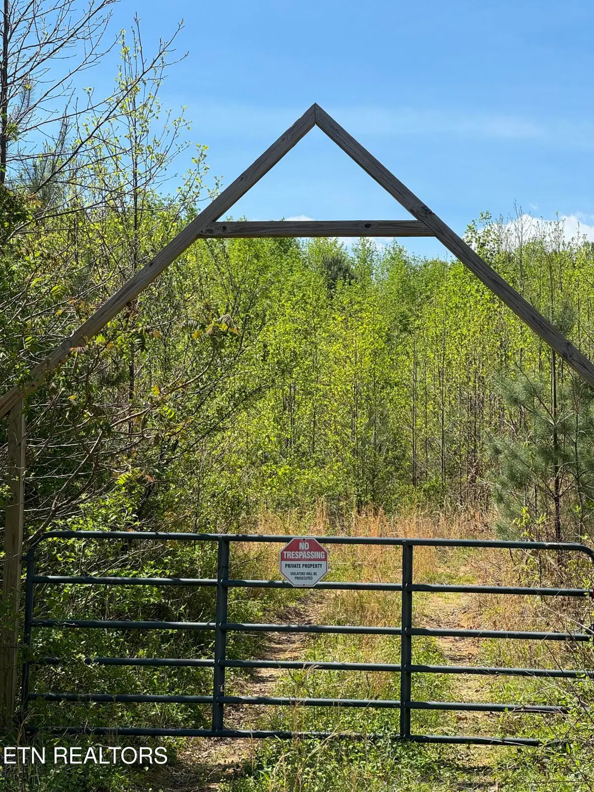Coon Hollow Rd, Sunbright, TN 37872 - #1