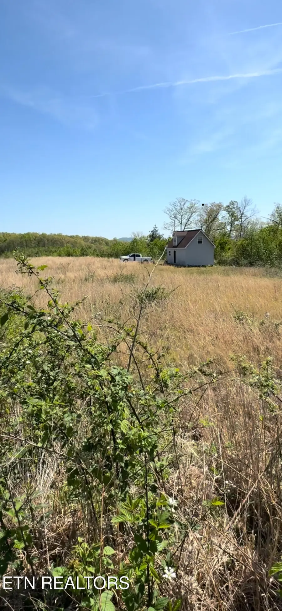 Coon Hollow Rd, Sunbright, TN 37872 - #3