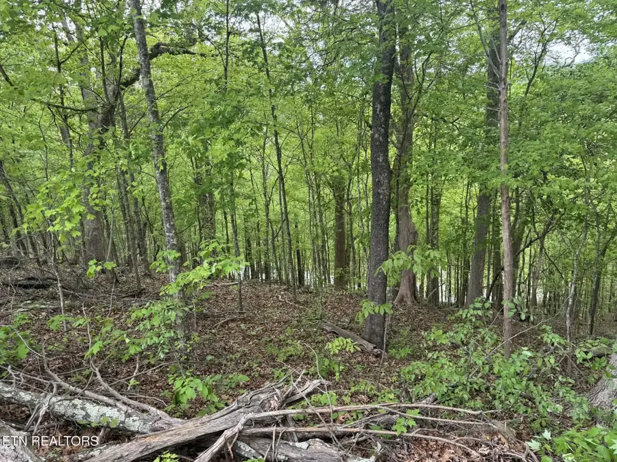 Bat Creek Shores Lane, Vonore, TN 37885 - #3