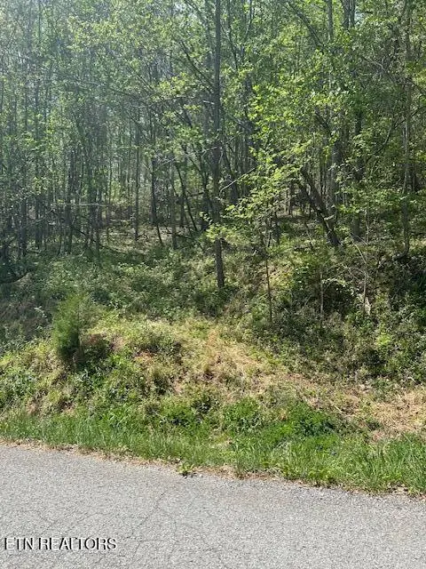 Lot 537 Whistle Valley Rd, New Tazewell, TN 37825 - #3