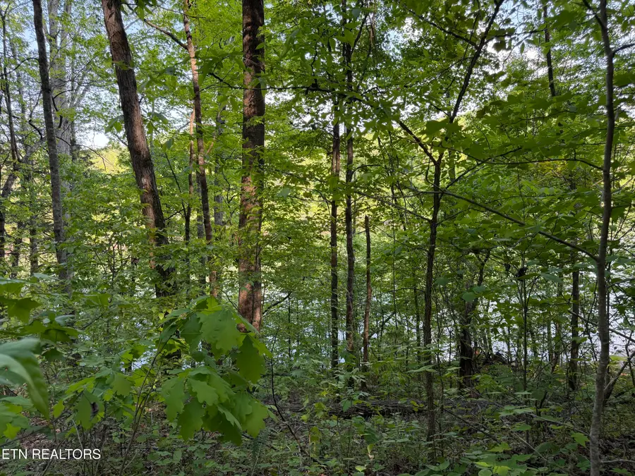 3 Three Point Rd, Vonore, TN 37885 - #2