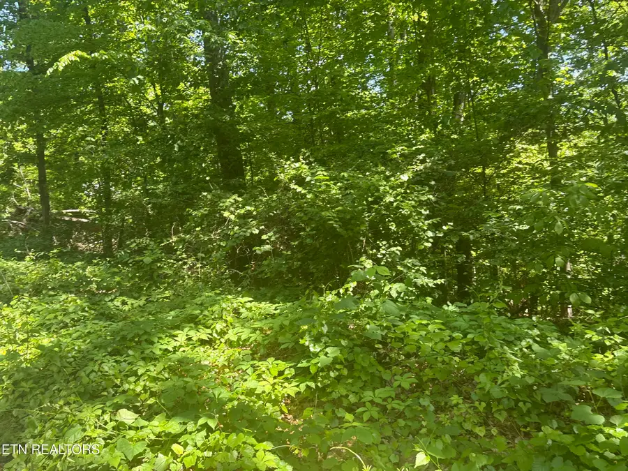 1160 Navy Drive Sw, Knoxville, TN 37920 - #3