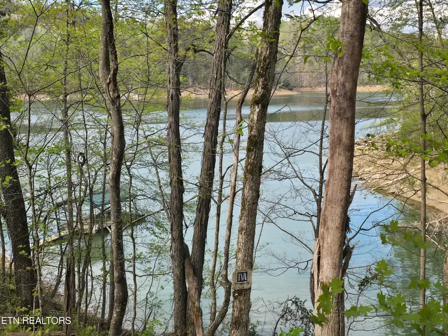 3711 Elm Springs Ridge Rd, Washburn, TN 37888 - #2
