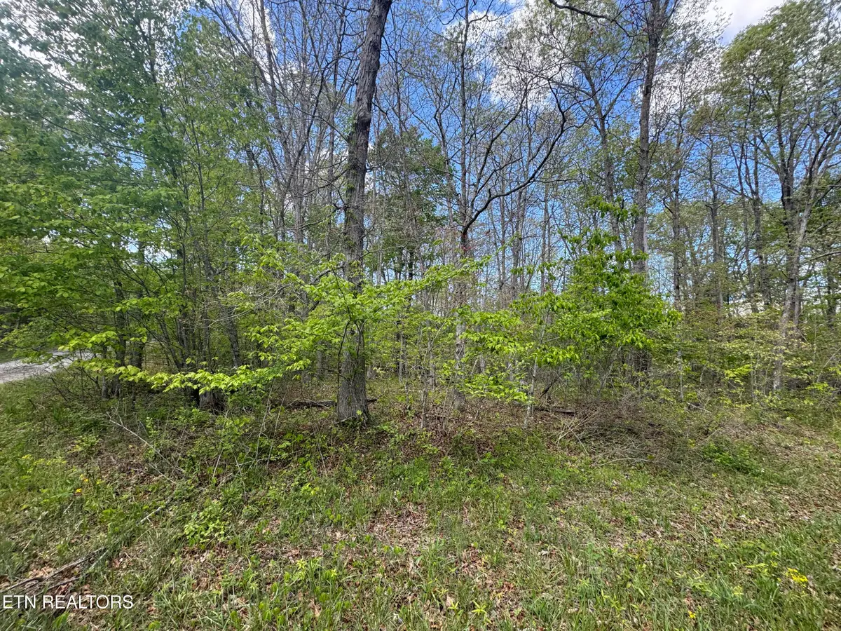 50 Redwing Circle, Crossville, TN 38572 - #1
