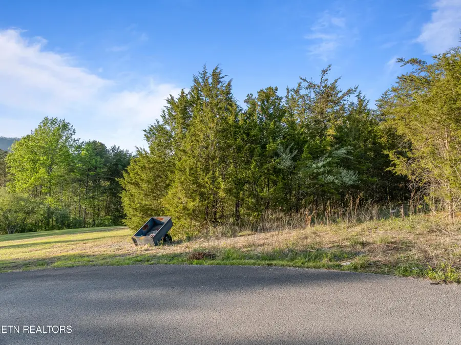 Regent Drive, Harrogate, TN 37752 - #3
