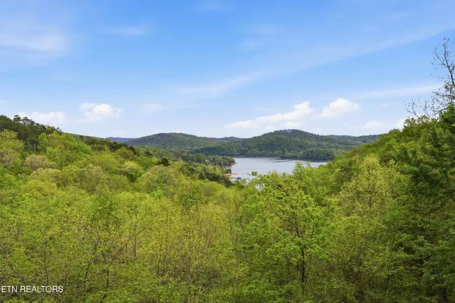 699 Lakeview Drive, Sharps Chapel, TN 37866 - #3