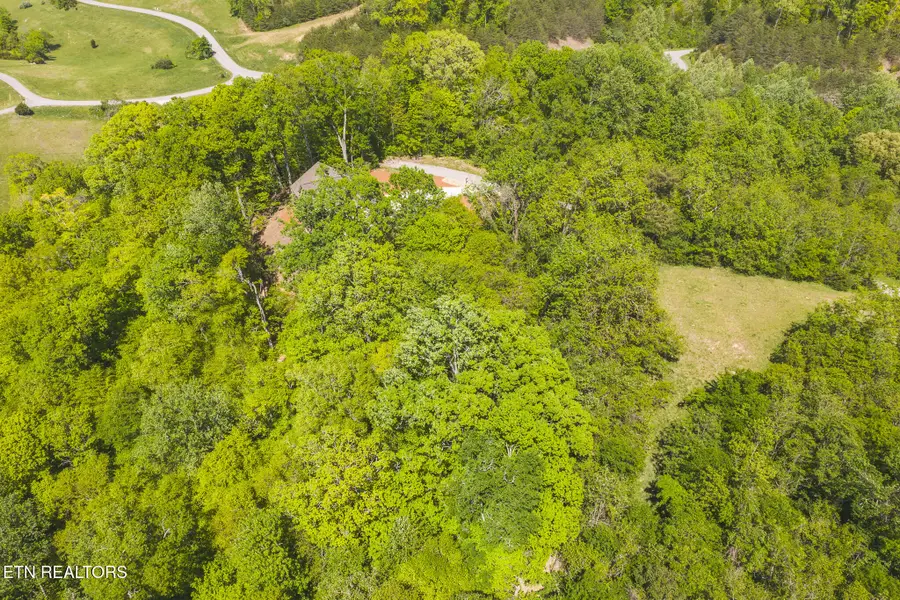 Lot 491 Magnolia Lane, Sharps Chapel, TN 37866 - #2