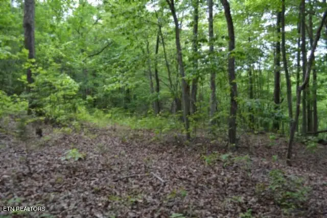 Lot 6 Forest Trails Lane, Celina, TN 38551 - #1