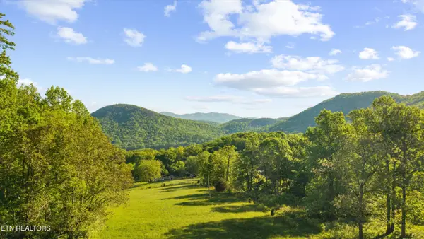172 Pam Lane, Townsend, TN 37882