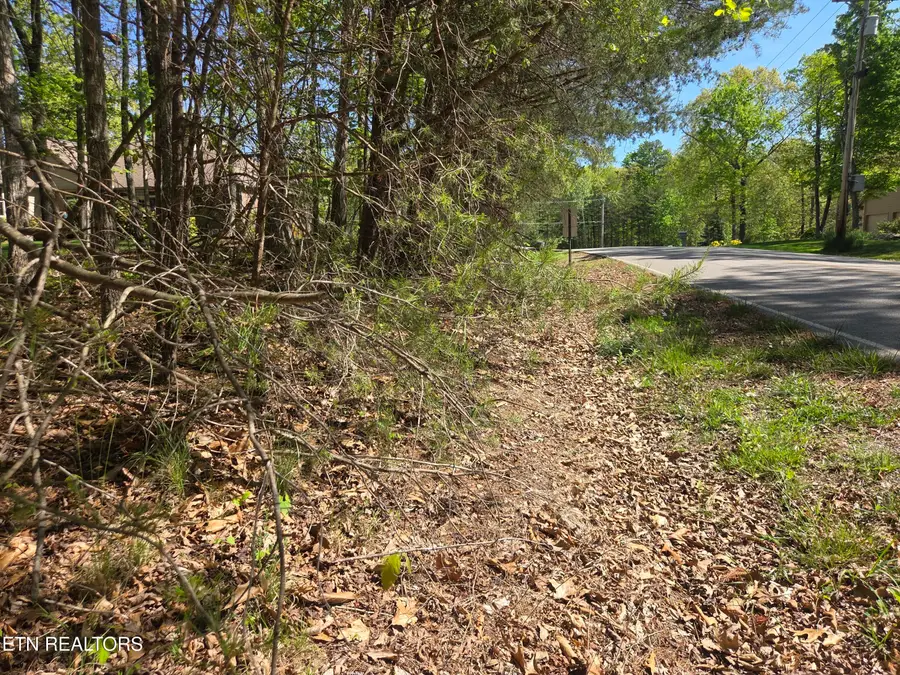 375 Rotherham Drive, Crossville, TN 38558 - #3
