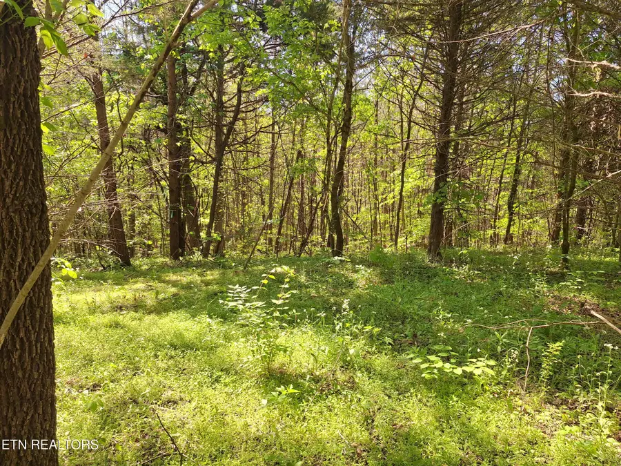 Payne Rd, Tellico Plains, TN 37385 - #3