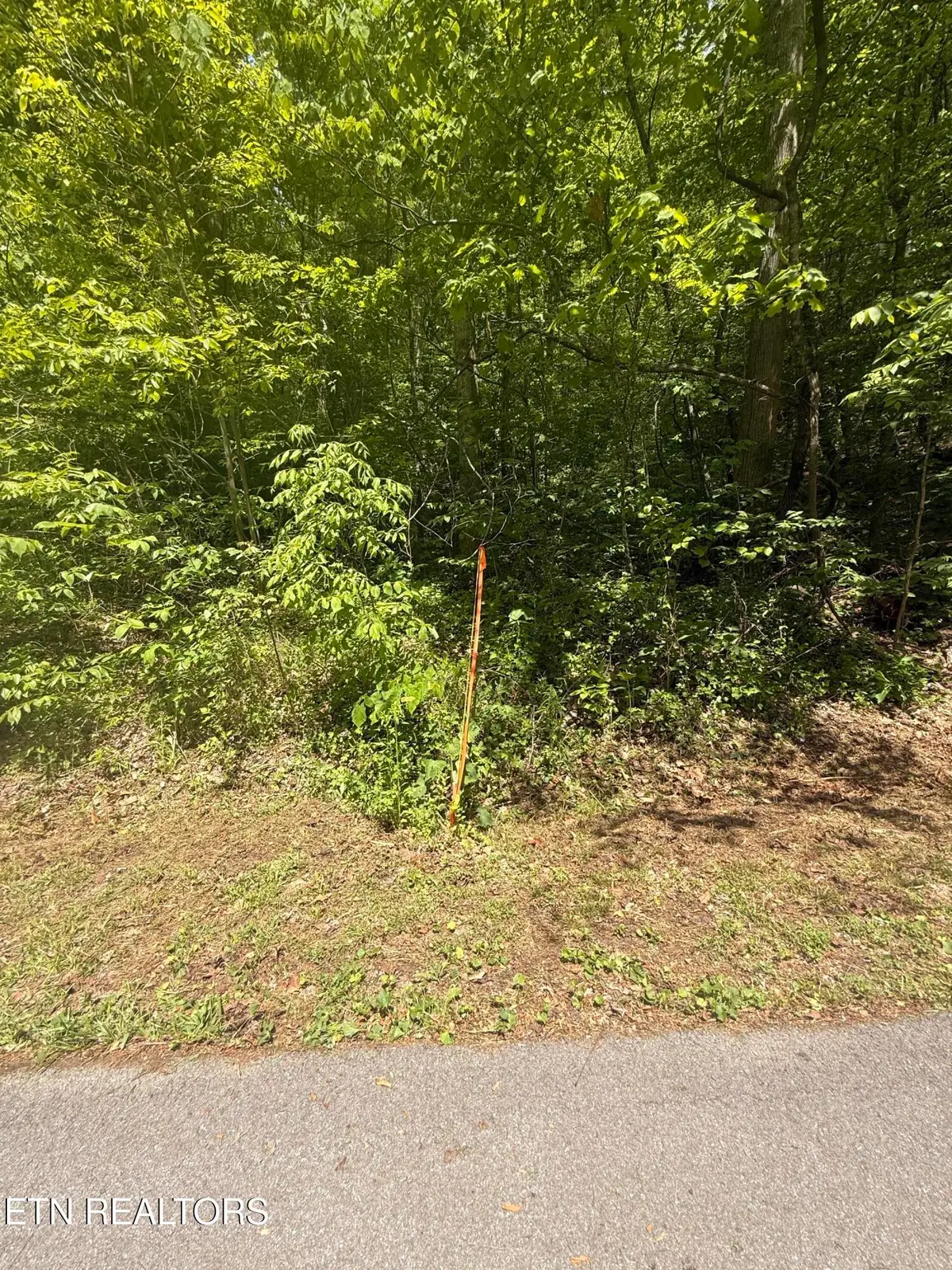 4045 Suttons Rd, Sevierville, TN 37876 - #1