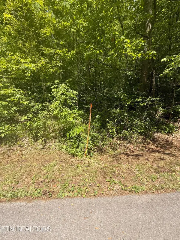 4045 Suttons Rd, Sevierville, TN 37876