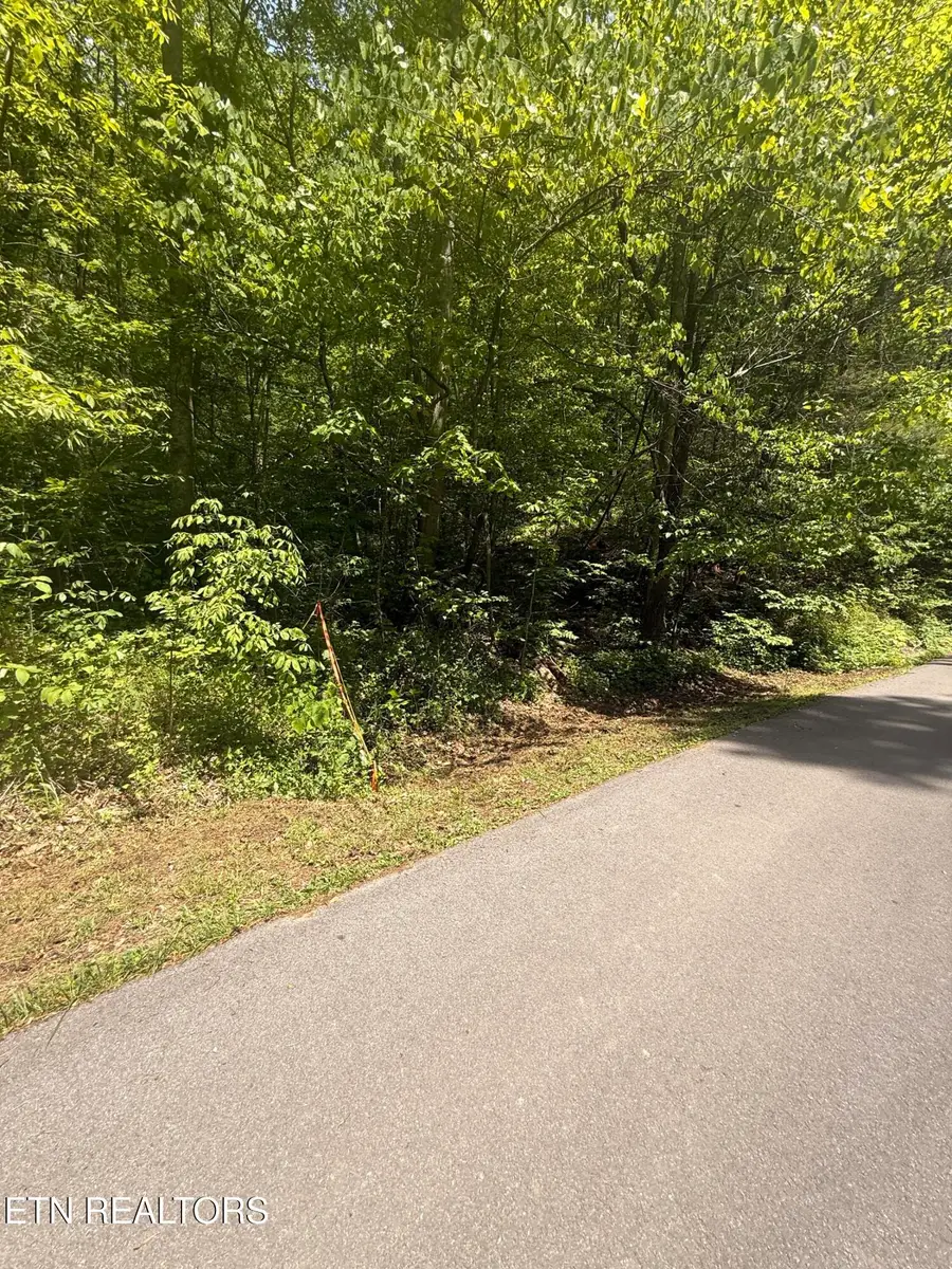 4045 Suttons Rd, Sevierville, TN 37876 - #3
