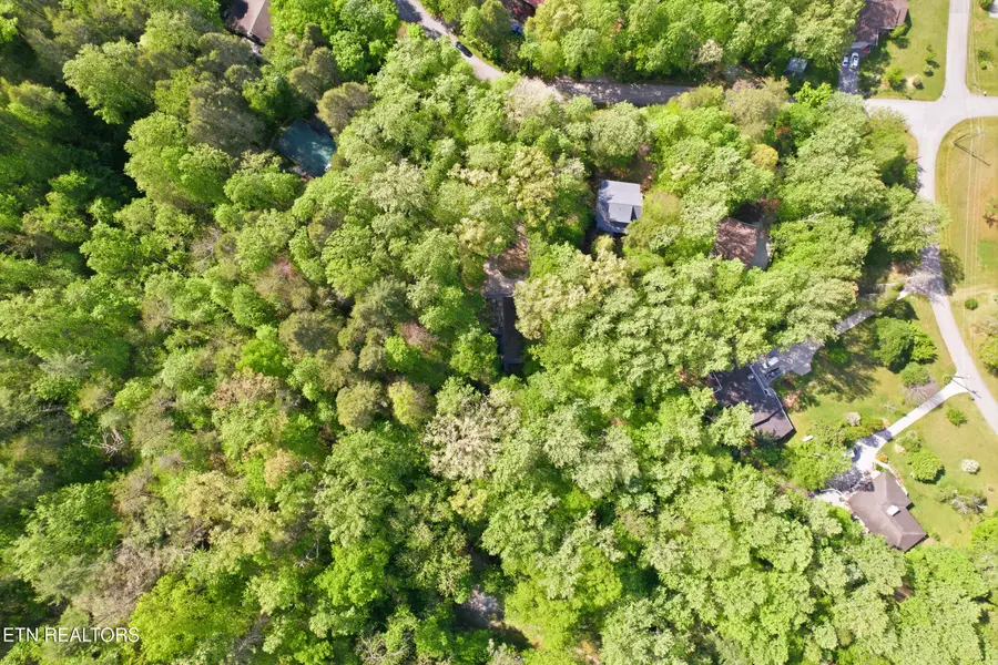 Domar Drive #Lot 4R, Townsend, TN 37882 - #2