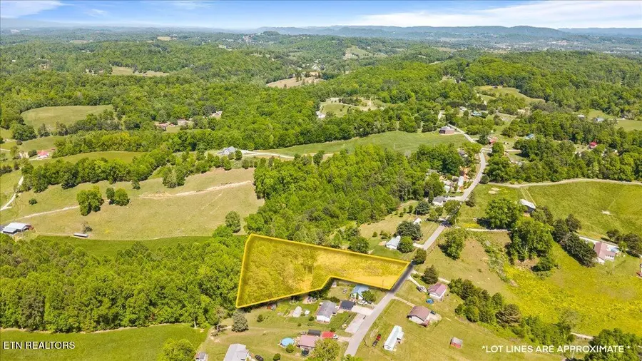 2116 Snodgrass Rd, New Tazewell, TN 37825 - #3