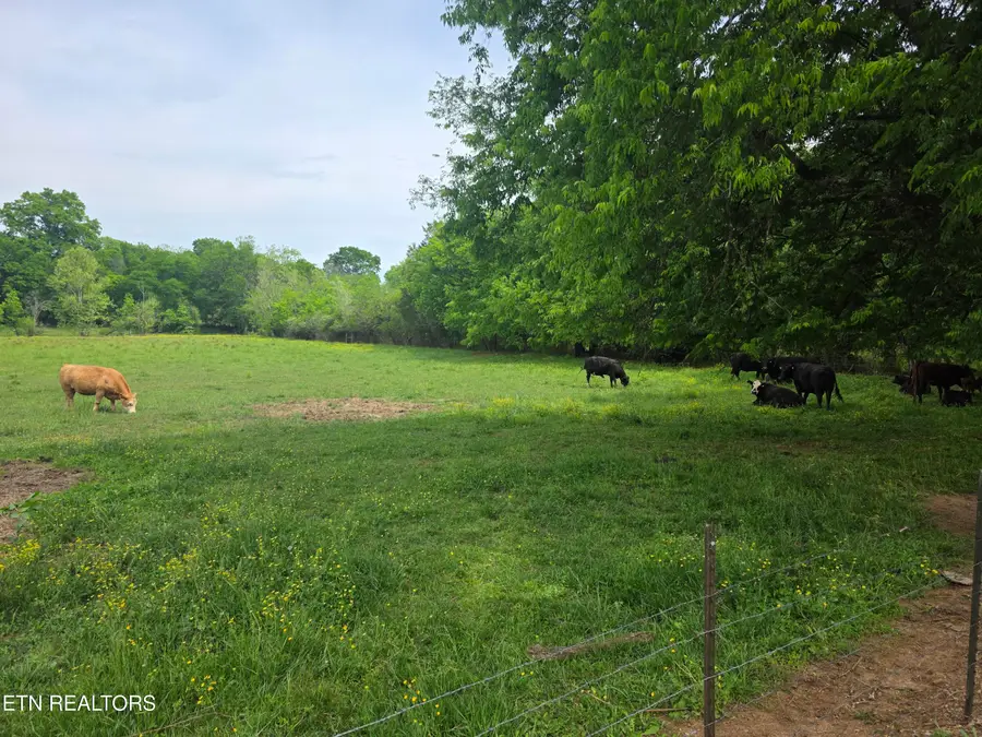 Lot 1 Maloneyville Rd, Corryton, TN 37721 - #2