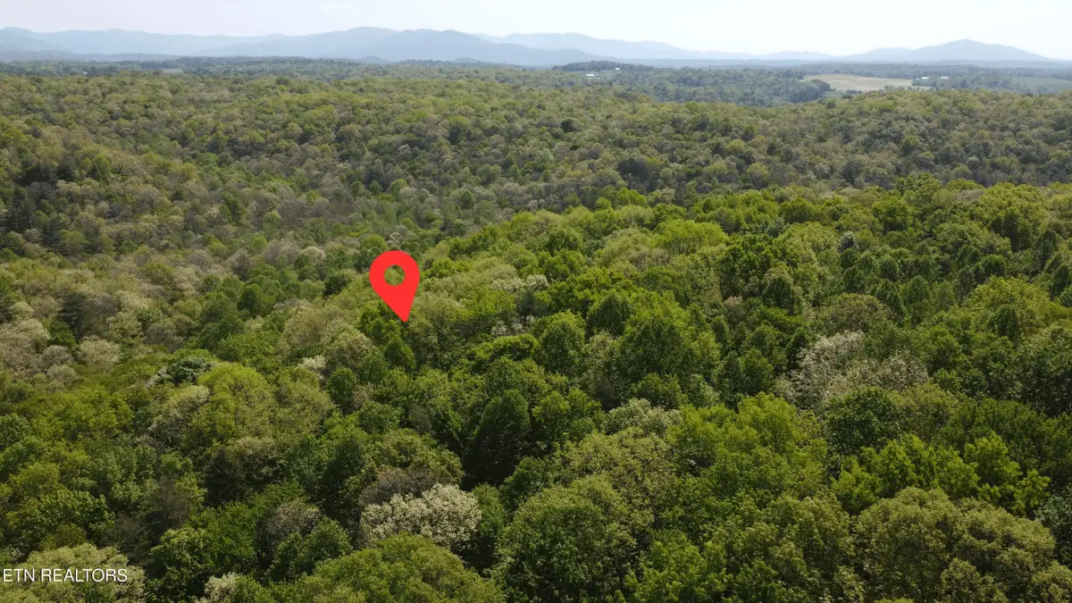 391 Ridge Rd, Lancing, TN 37770 - #1