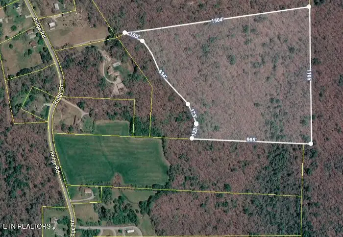391 Ridge Rd, Lancing, TN 37770 - #3
