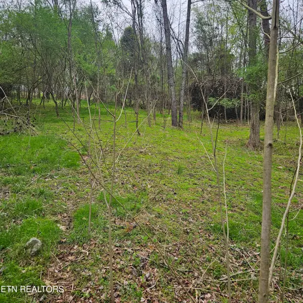 1919 Chelaque Way, Mooresburg, TN 37811