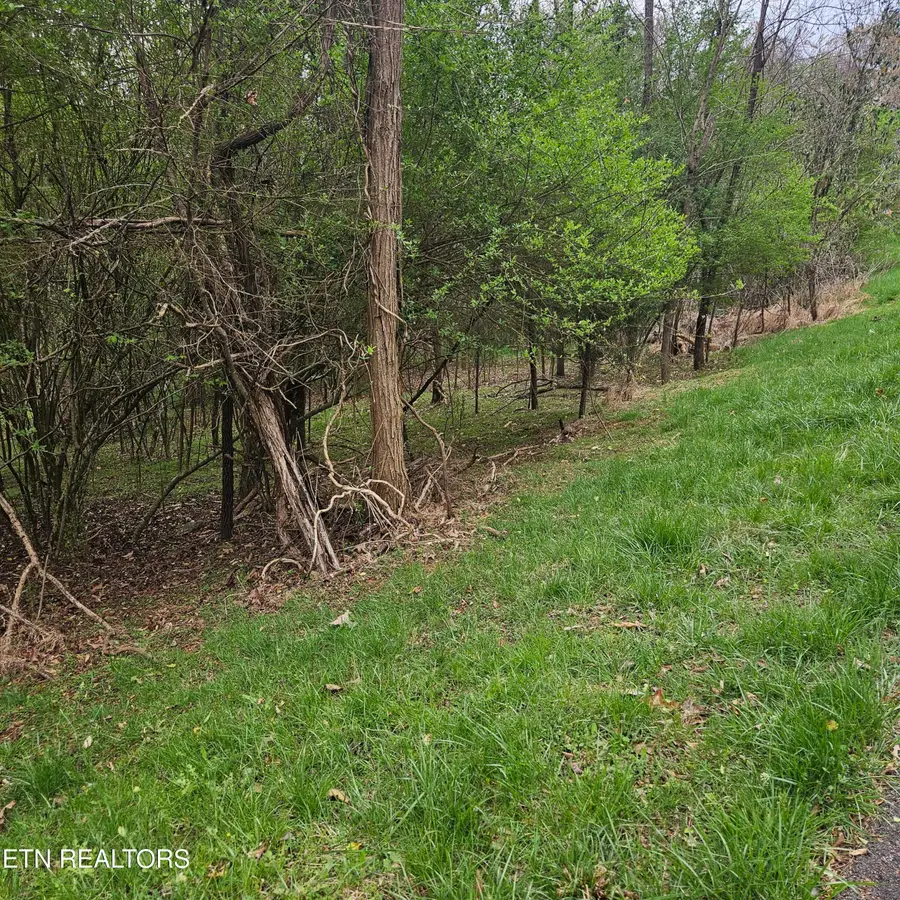 1919 Chelaque Way, Mooresburg, TN 37811 - #3
