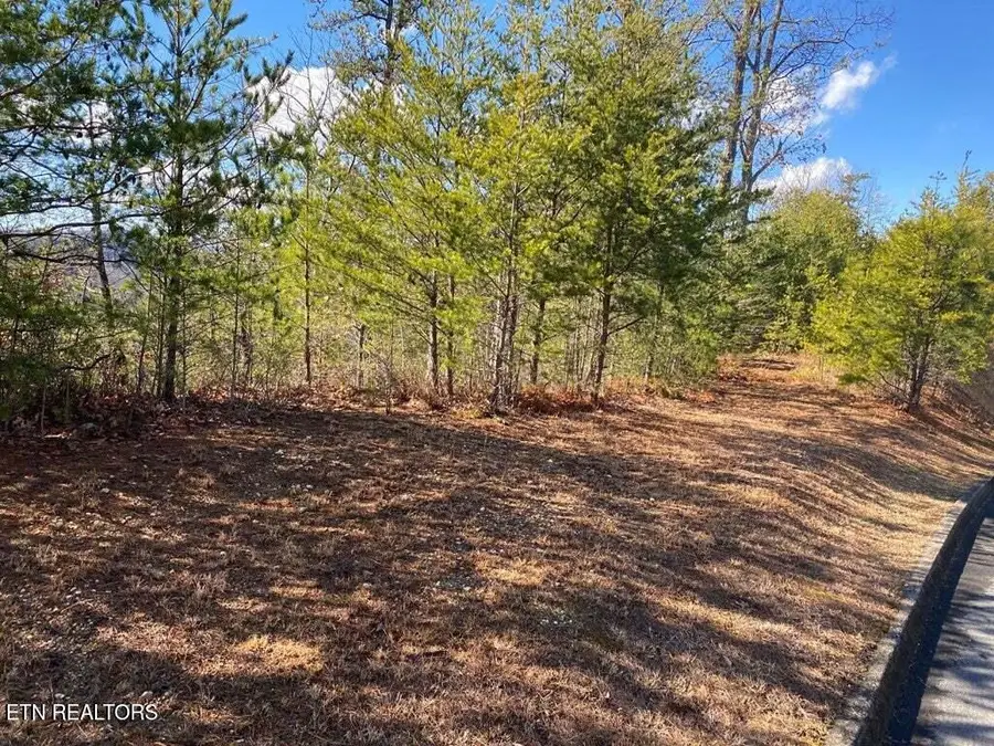 1824 Pinestand Ridge Way, Sevierville, TN 37862 - #3