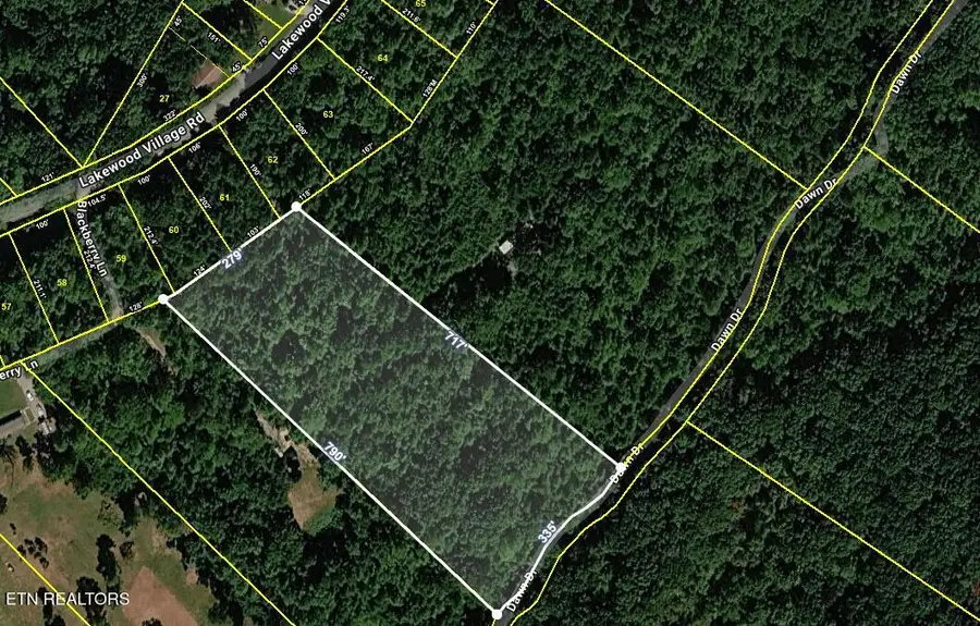 665 Lakewood Village Rd, Spring City, TN 37381 - #3