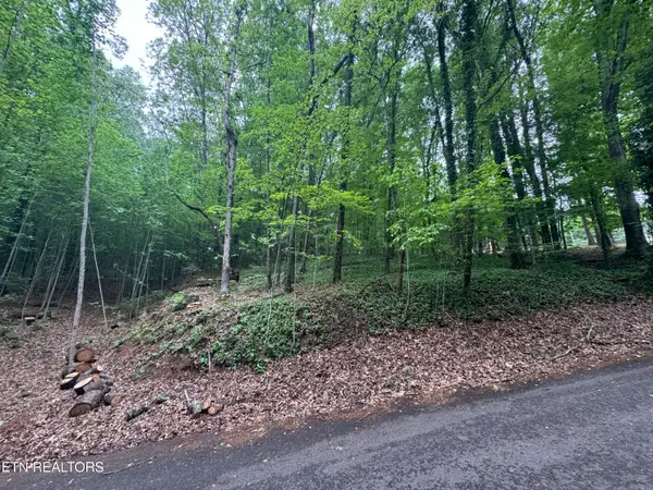 6816 Reddege Rd, Knoxville, TN 37918