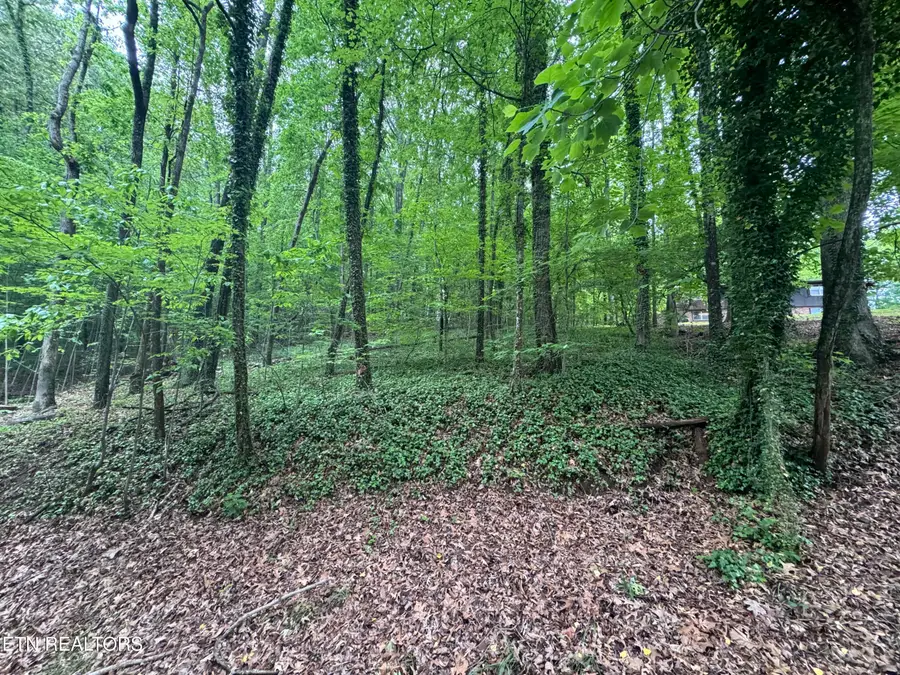 6816 Reddege Rd, Knoxville, TN 37918 - #2