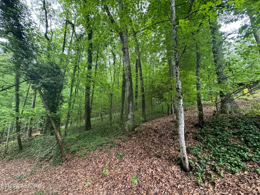 6816 Reddege Rd, Knoxville, TN 37918 - #3