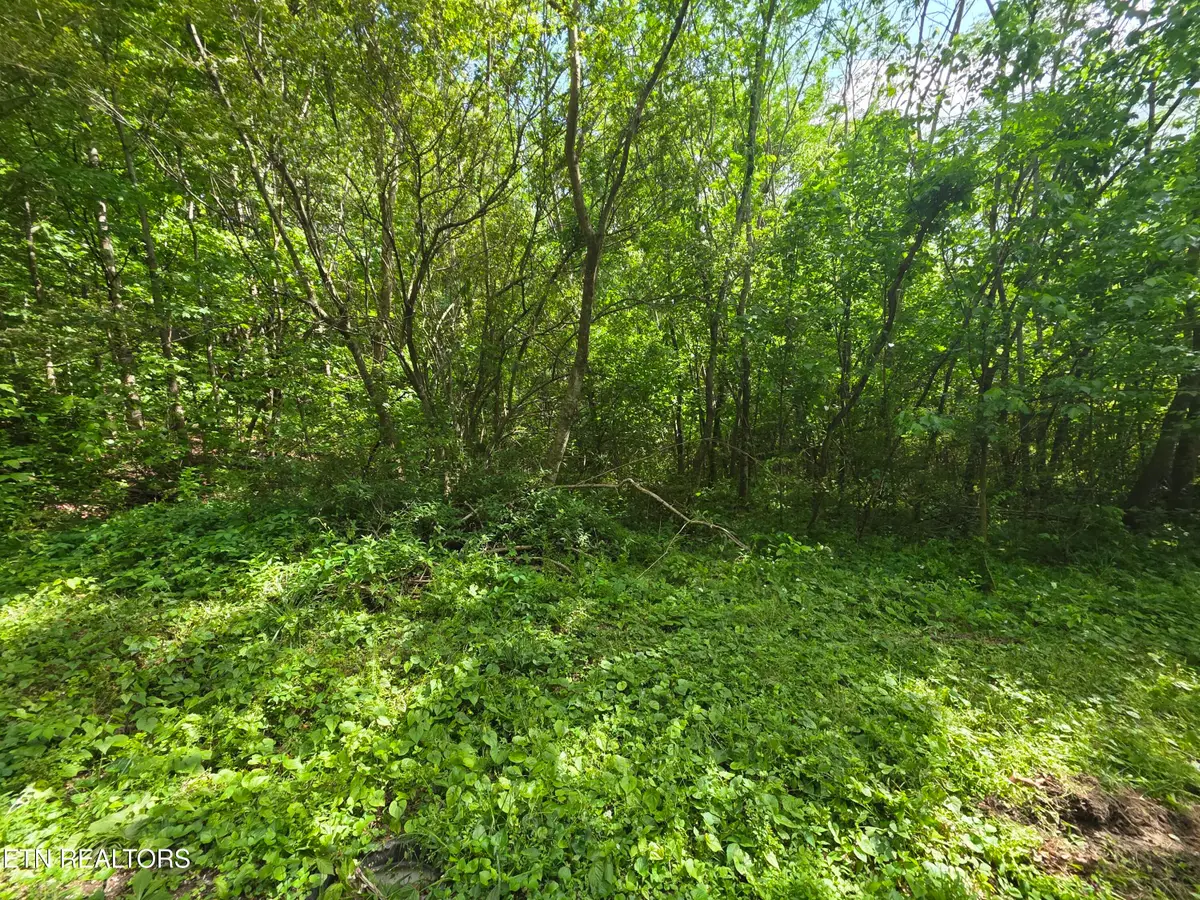 Cemetery Rd, Caryville, TN 37714 - #1