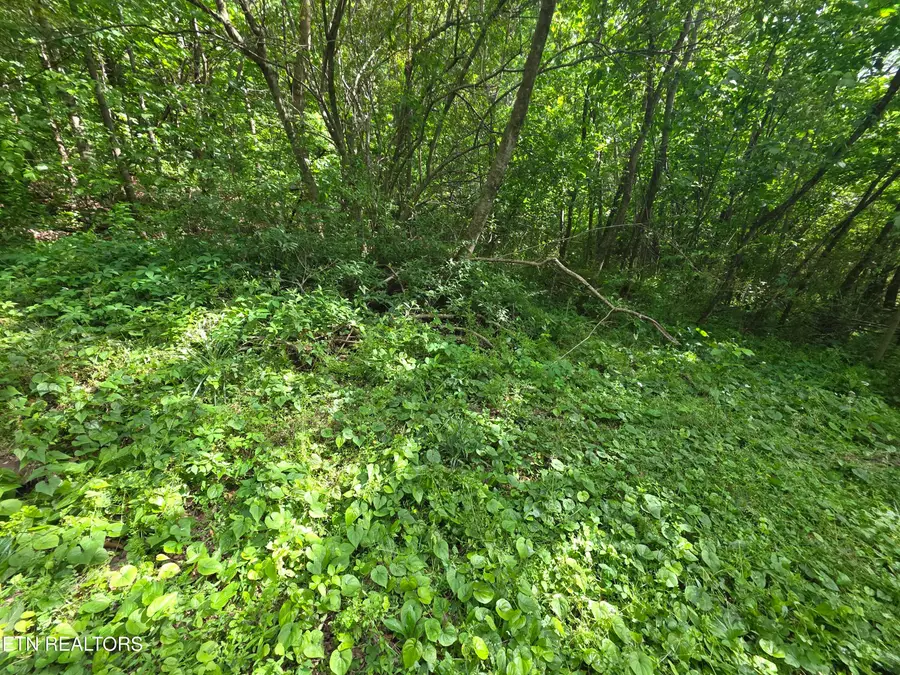 Cemetery Rd, Caryville, TN 37714 - #2