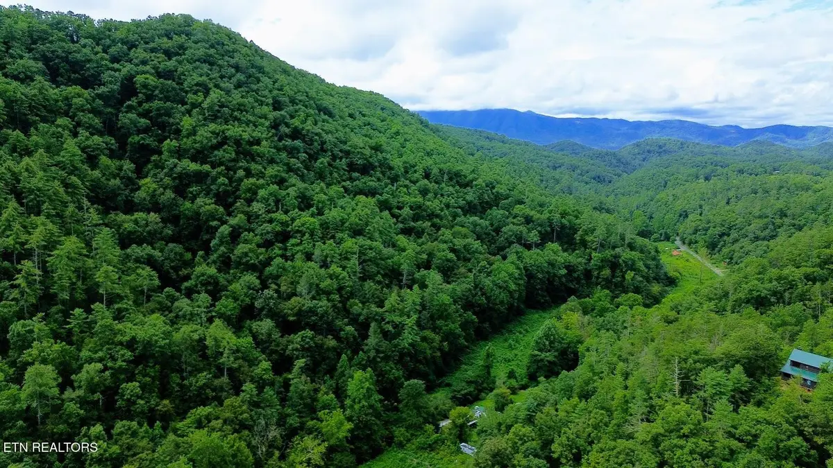 Carrs Creek Rd, Townsend, TN 37882 - #1