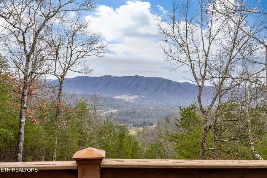 Twin Oak Mountain Lane, Townsend, TN 37882 - #2