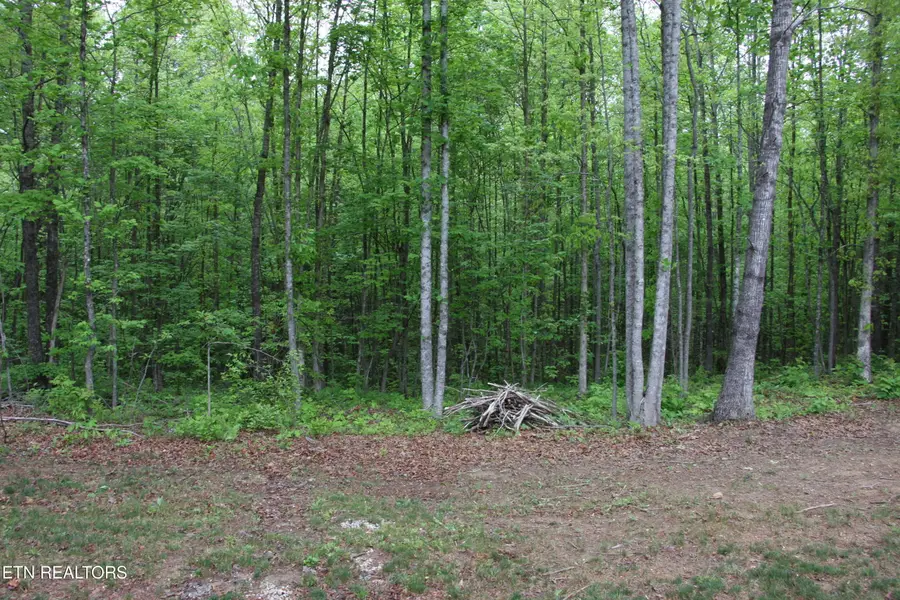 154 Copley Cemetery Rd, Jamestown, TN 38556 - #3