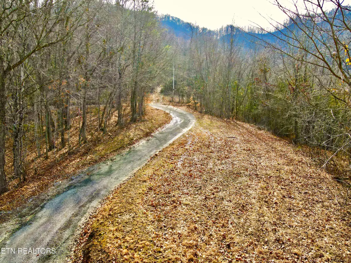 TBD Rufus Coffey Lane, Thorn Hill, TN 37881 - #1