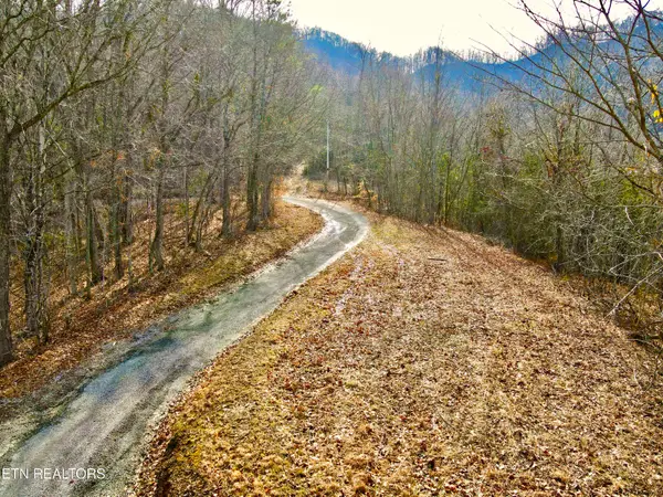 TBD Rufus Coffey Lane, Thorn Hill, TN 37881