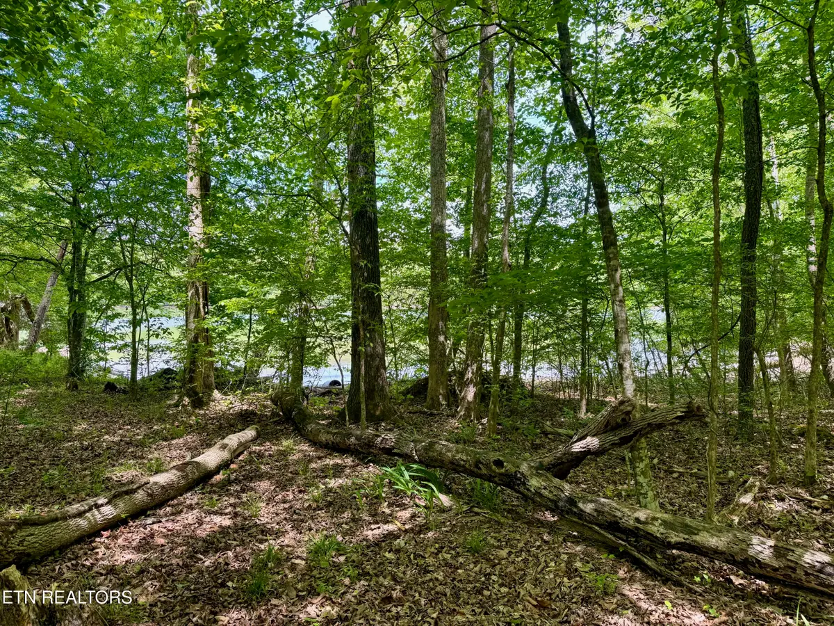 Lot 2 Eagle Ridge Rd, Kingston, TN 37763 - #1
