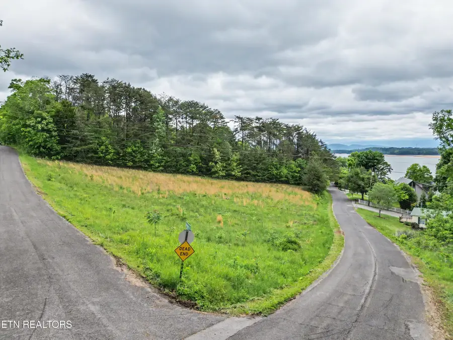 1107 Evergreen Tr, Dandridge, TN 37725 - #3