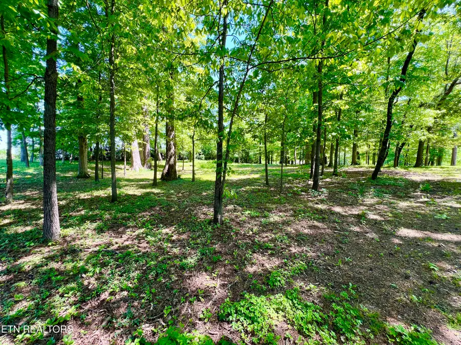 729 E Hunt Rd, Alcoa, TN 37701 - #2