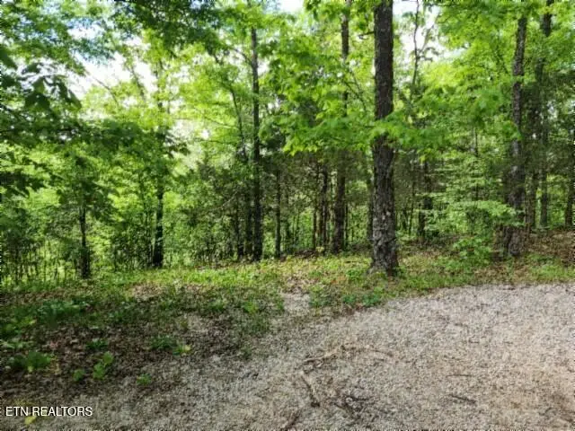 10.13ac Forest Trails Lane, Celina, TN 38551 - #3