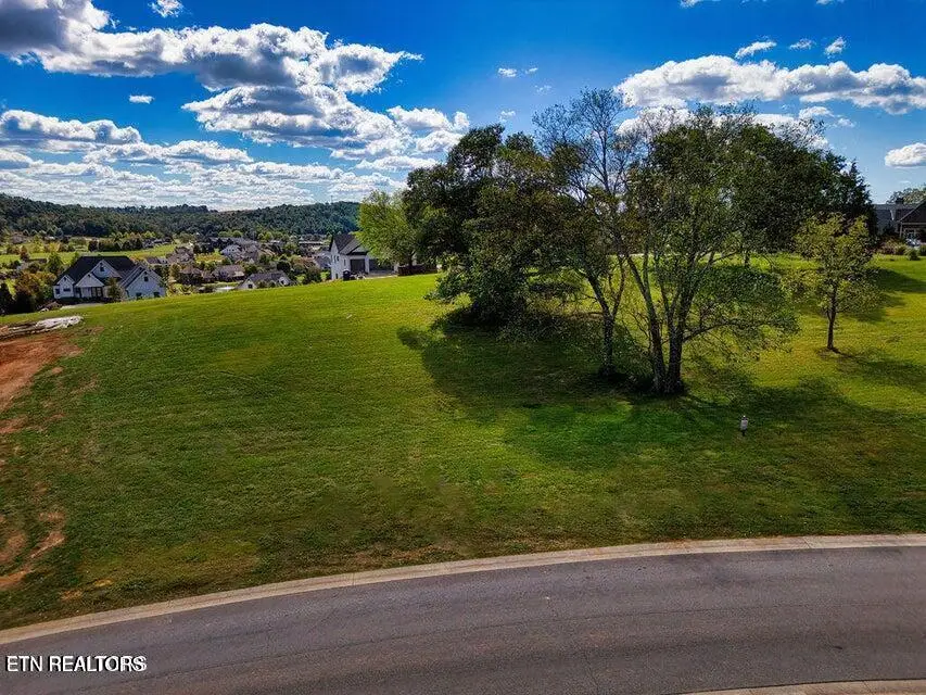 2912 Persimmon Ridge, Loudon, TN 37774 - #2