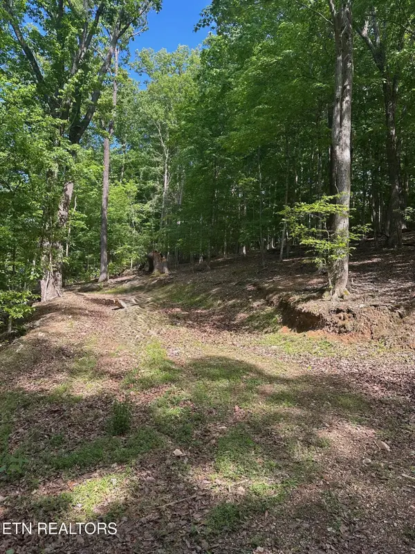 490 Fox Ridge Lane, Caryville, TN 37714