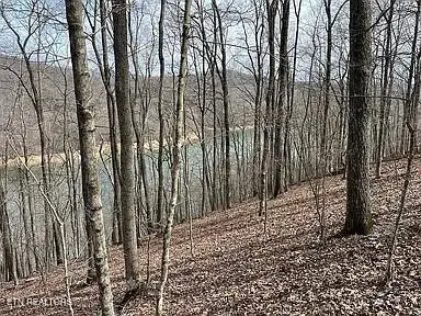 490 Fox Ridge Lane, Caryville, TN 37714 - #2