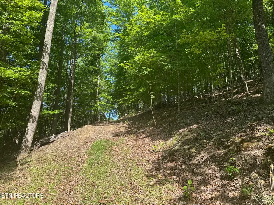 490 Fox Ridge Lane, Caryville, TN 37714 - #3