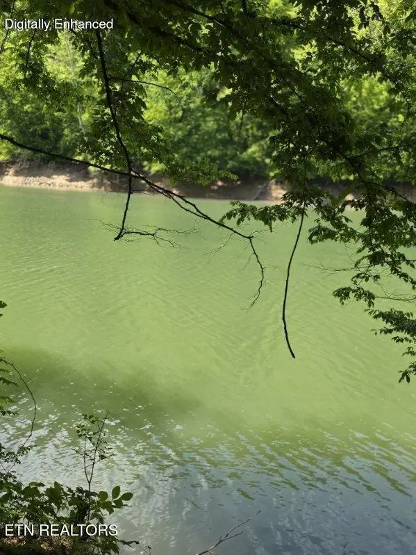 Crestwood Drive, Speedwell, TN 37870